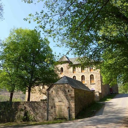 Chateau De Salelles Banassac Exterior foto