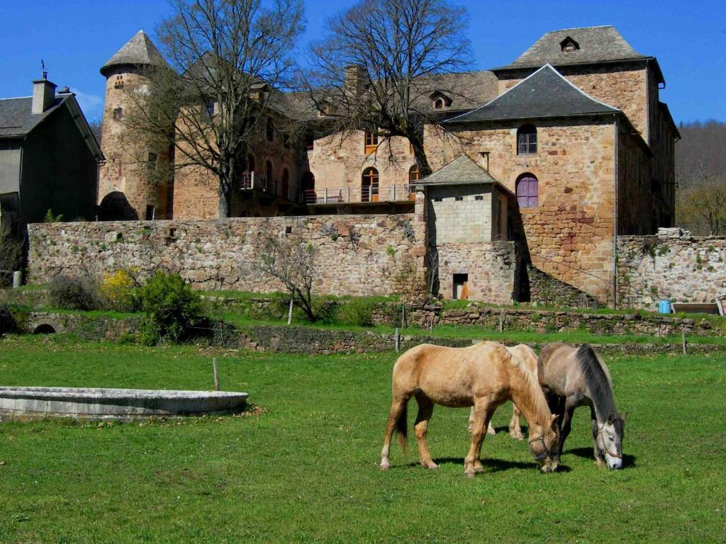 Chateau De Salelles Banassac Exterior foto